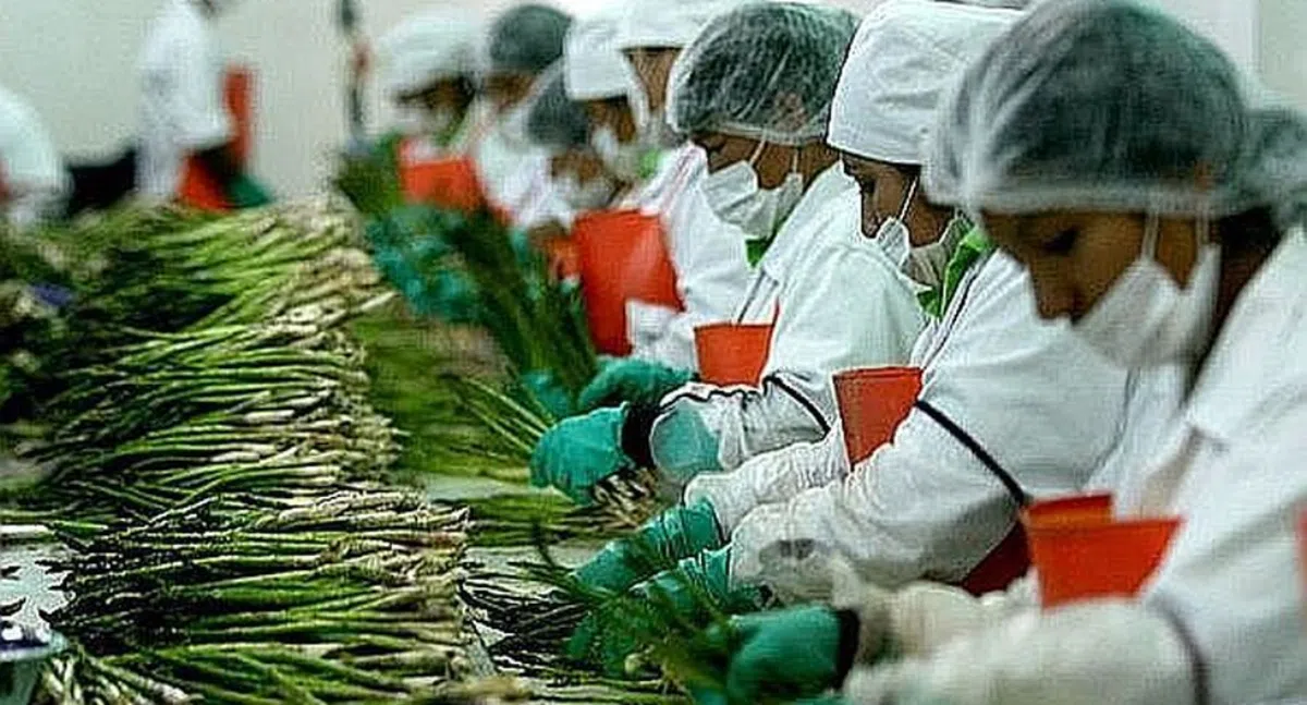 Испанские медики назвали продукты, помогающие противостоять вирусу