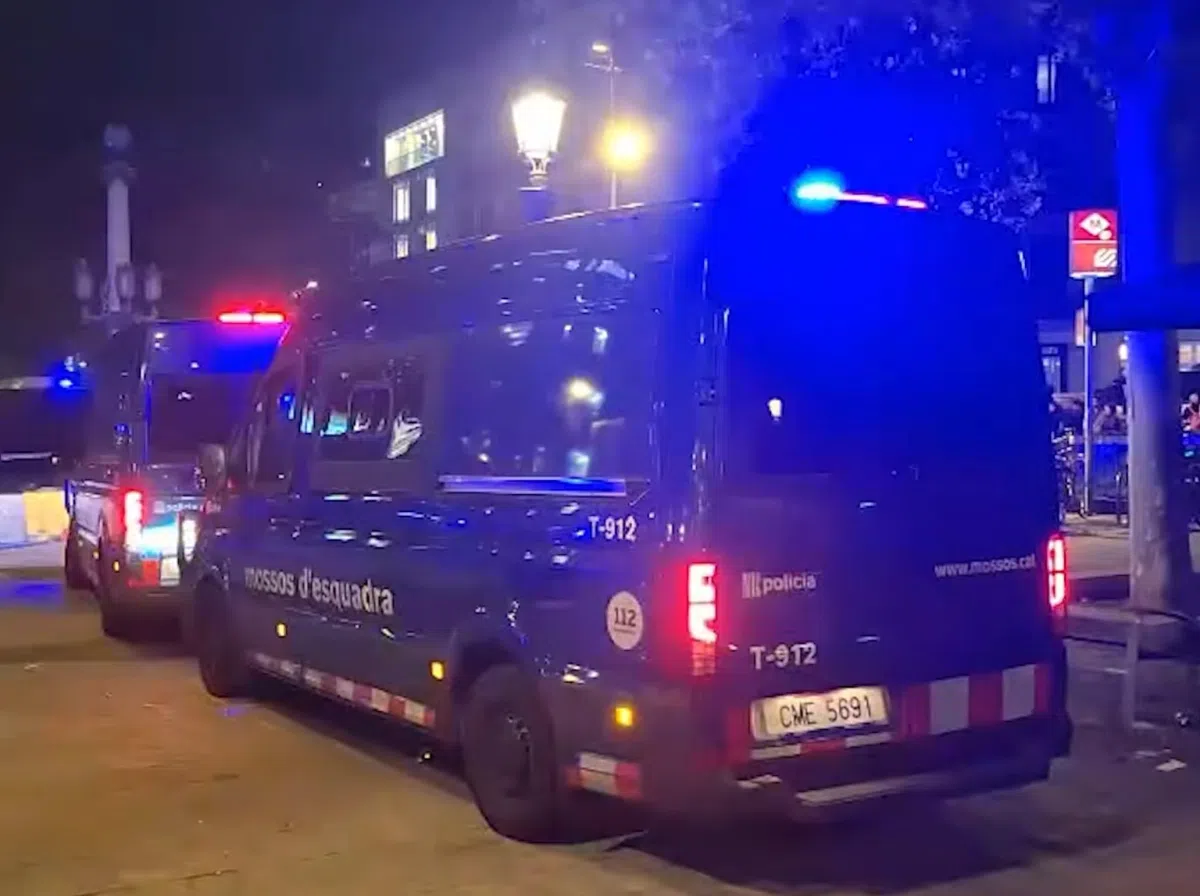 Двоих погромщиков уже отправили в центры для несовершеннолетних